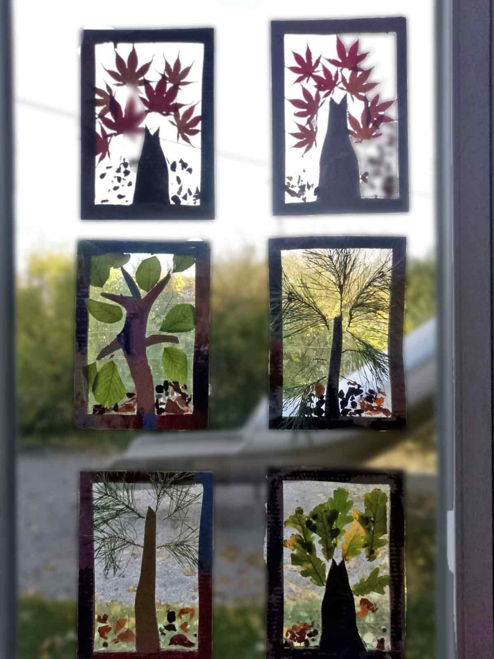 Fensterbilder aus Papier und Naturmaterialien mit verschiedenem Laub und Zweigen