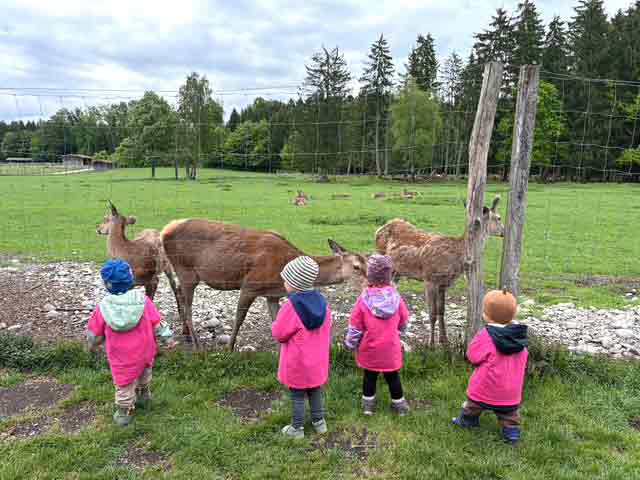 Besuch im Bergtierpark Aying