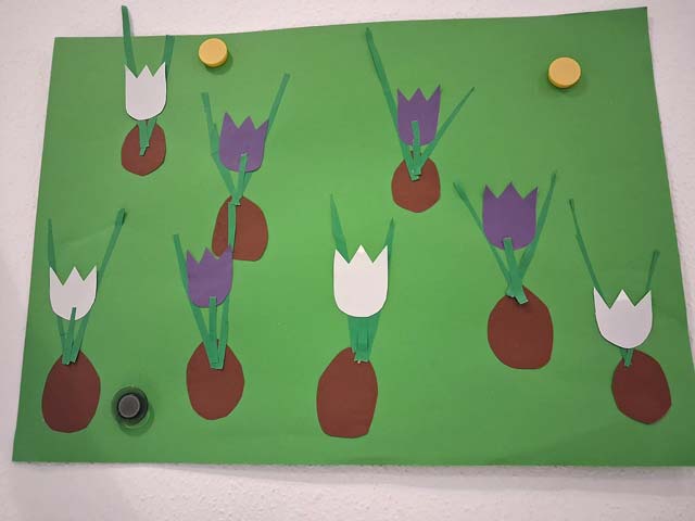 Bei der Kükengruppe wachsen Tulpen aus der Zwiebel