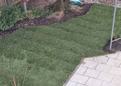 Nun ist der Garten auch begehbar
